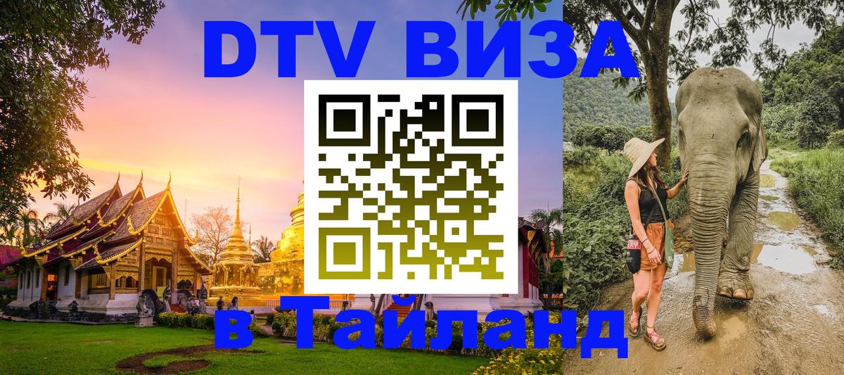 Оформление DTV визы под ключ: стоимость и тарифы, только загранпаспорт - Ковров 